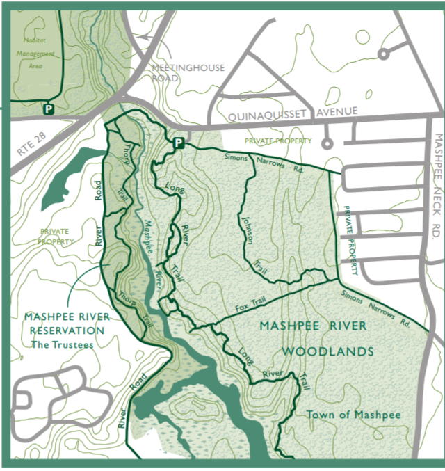Woodlands.png