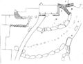 Thumbnail for version as of 11:48, 19 February 2022